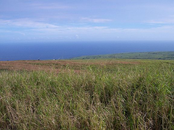 4th image of 95-1178 Kaalualu Rd Lot 14-B