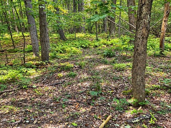 4th image of LOT-10A Bush Hill Rd