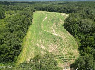 0 McDonald Rd, Bonifay, FL 32425