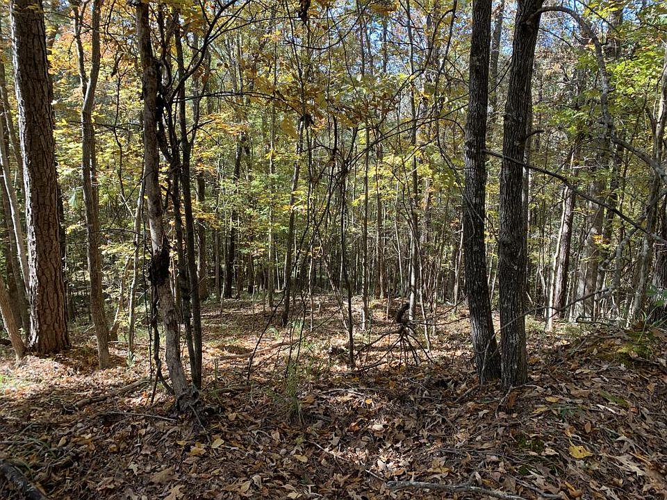 Hardwood Hollow