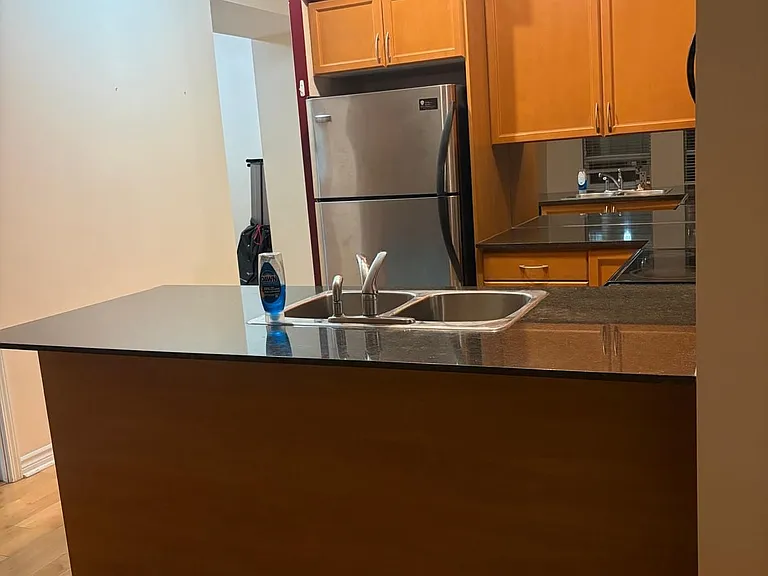 388 Prince Of Wales Dr #1411 — Photo 8