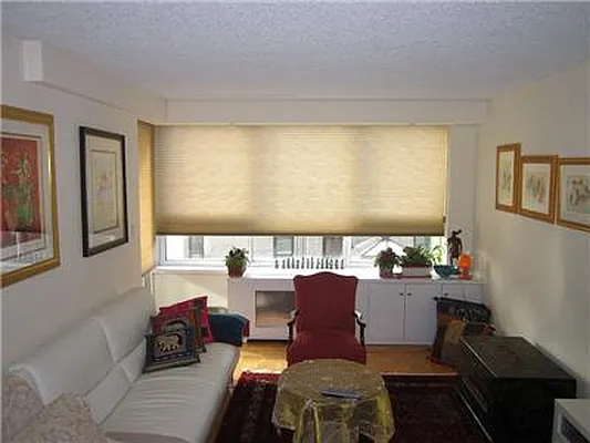 Rented by Manhattan Flats | media 20