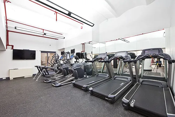 Rented by Bold New York | media 16