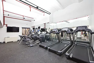 Rented by Bold New York