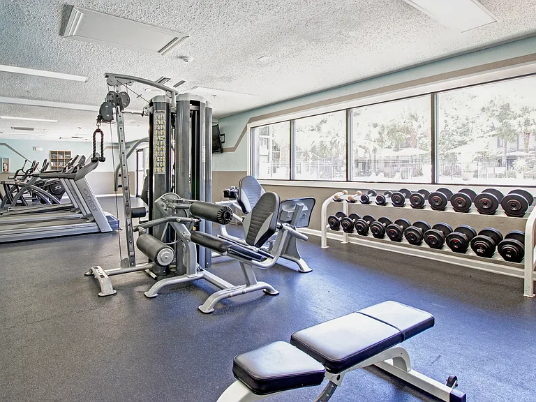 Sabal Club — Photo 15