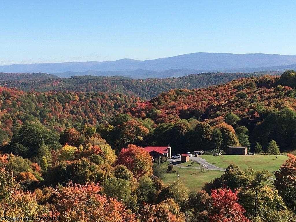 136 Snake Run, Monterville, WV 26282 Zillow