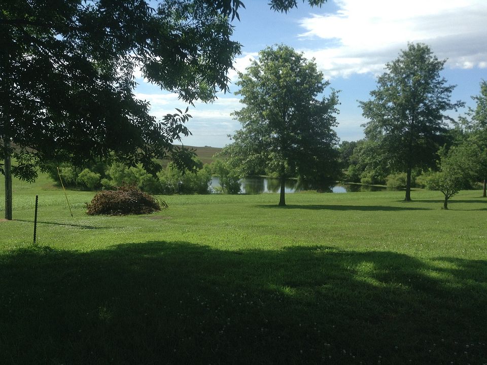 Lake view