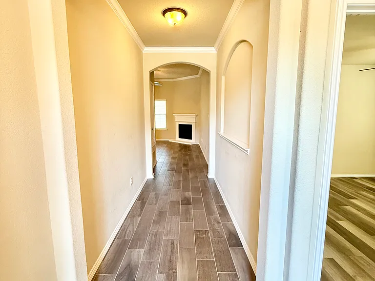 11809 Kurth Dr — Photo 3