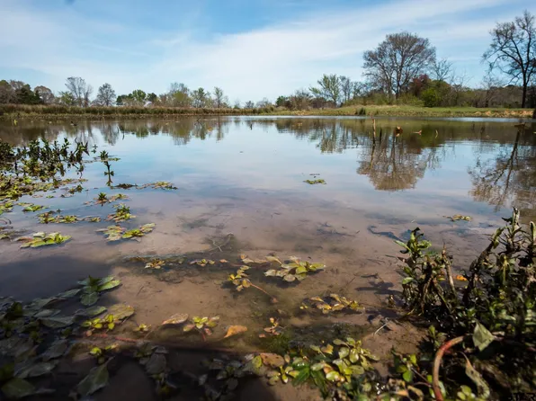 0 County Road 334, Palestine, TX 75803