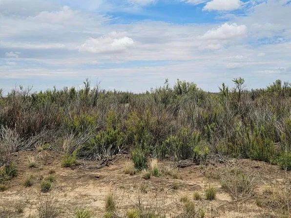 LOT 5 Douglas Farms, Tanner Brownfield, TX 79316