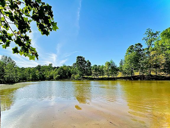 Beautiful pond on property