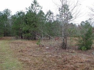 1329 Reedy O Smith Rd, Leesville, SC 29070