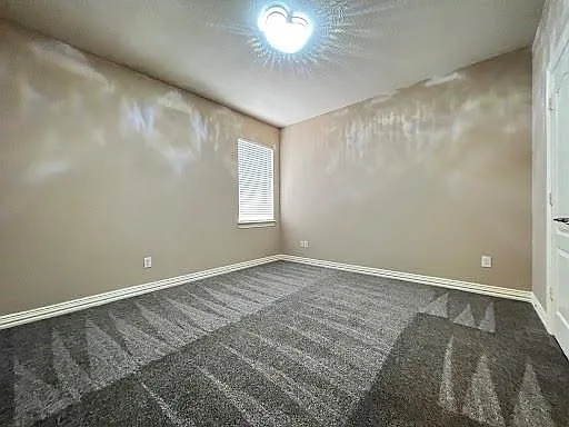3518 Ellies Ln — Photo 14