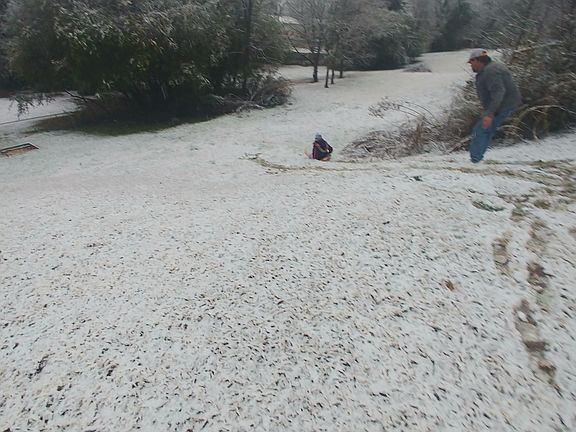 SLEDDING FUN
