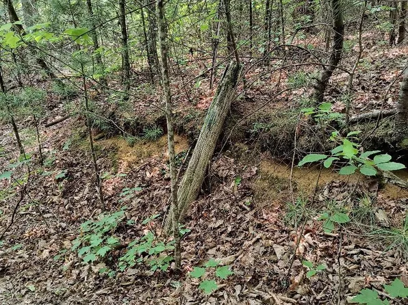 Of Jenkins Br, Elizabethton, TN 37643