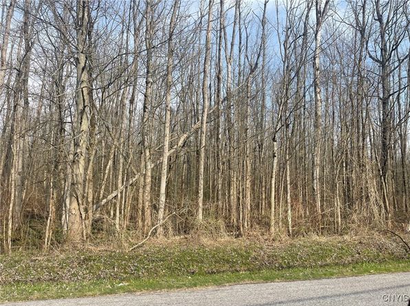 Lewis Point Rd #3, Canastota, NY 13032