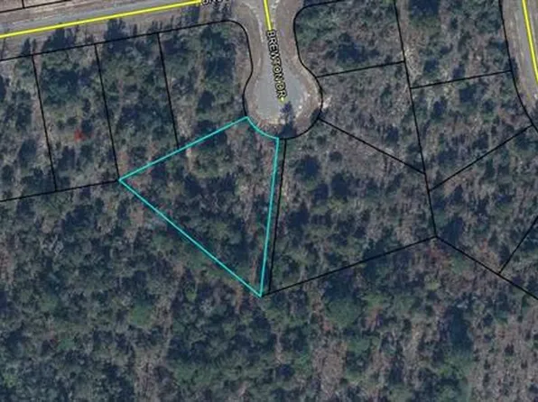 0000 BREWTON DRIVE LOT 19, CHIPLEY, FL 32428