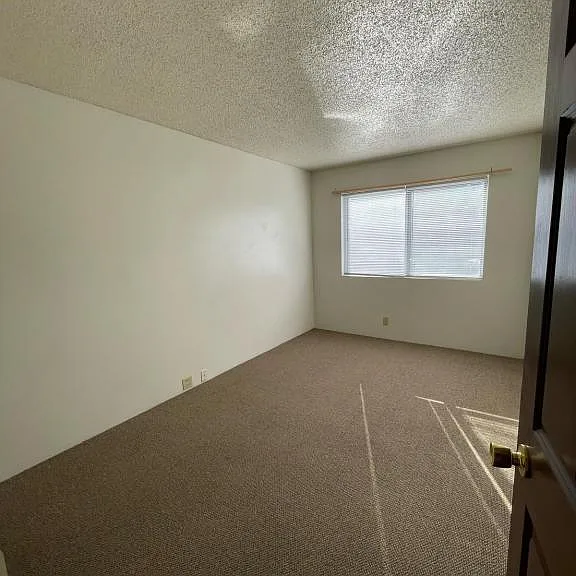 1212 D St #5 — Photo 6