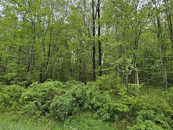 2nd image of LOT 32.7 State Route 17b