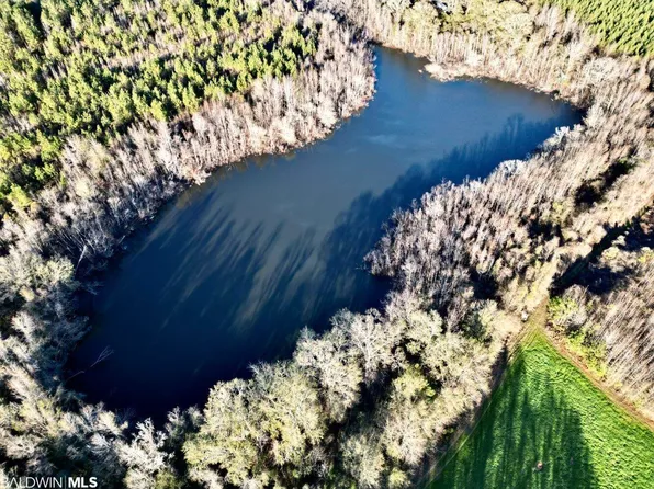 0 Us Highway 84, Evergreen, AL 36401