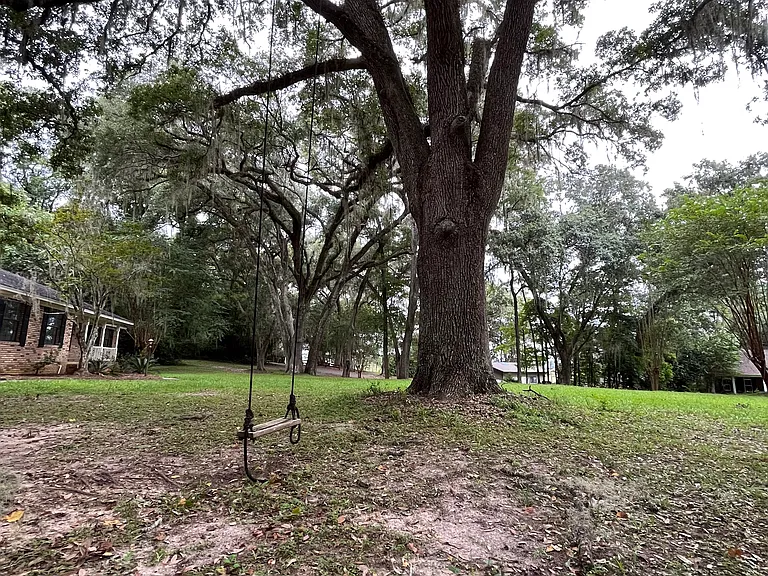 massive yard