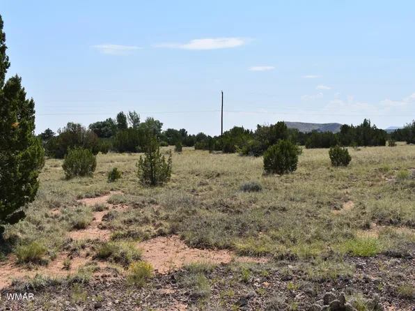 74 Evergreen Ln, Concho, AZ 85924