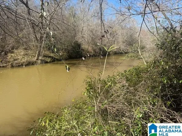 Pate Rd Lot 8, Cragford, AL 36255
