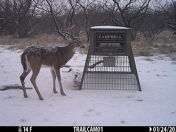 Tipton Ranch in Stephens County TX