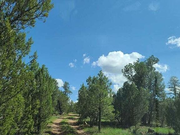 3rd image of 3091 Highway 277