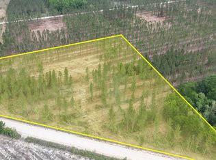 0 Buck Swamp Rd LOT 7, Brunswick, GA 31523