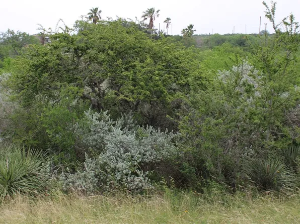 0 Cenesia Dr, Sandia, TX 78383