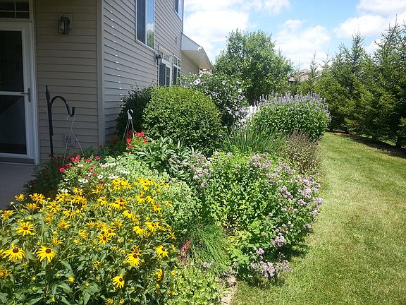 Garden Next to Porch