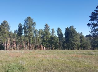 Velvet Horn Pl, Rapid City, SD 57702