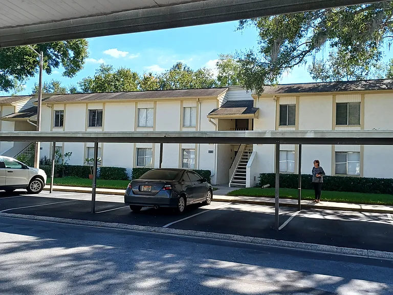 Palmetto Ct — Photo 2