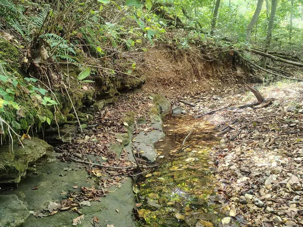 000 Farm Road 1245, Aurora, MO 65605