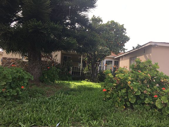 Early evening sunshine