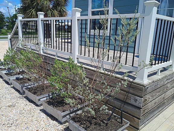 Garden area