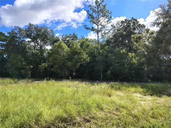 SILVER SPRINGS SHORES UNIT16 LOT 16, OCALA, FL 34472