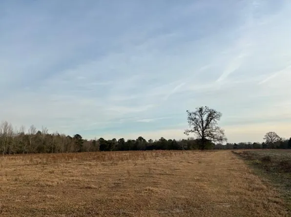 0 Fireline Rd Tract 2, Broxton, GA 31519