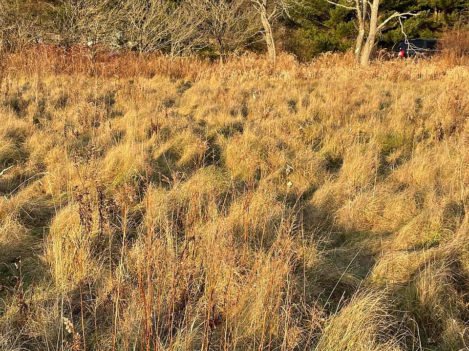 2nd image of Lot 4 Ross Avenue