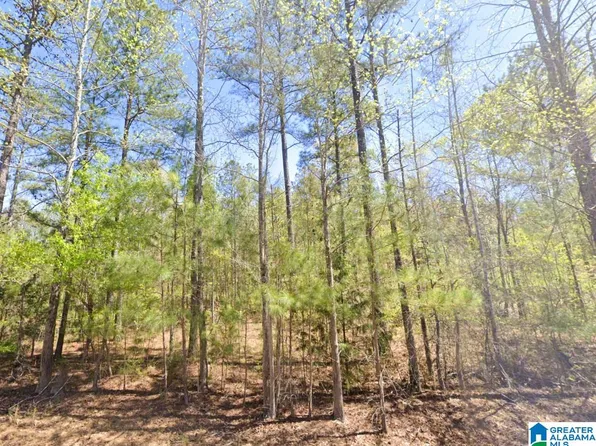 5565 Red Robin Rd, Sylacauga, AL 35151