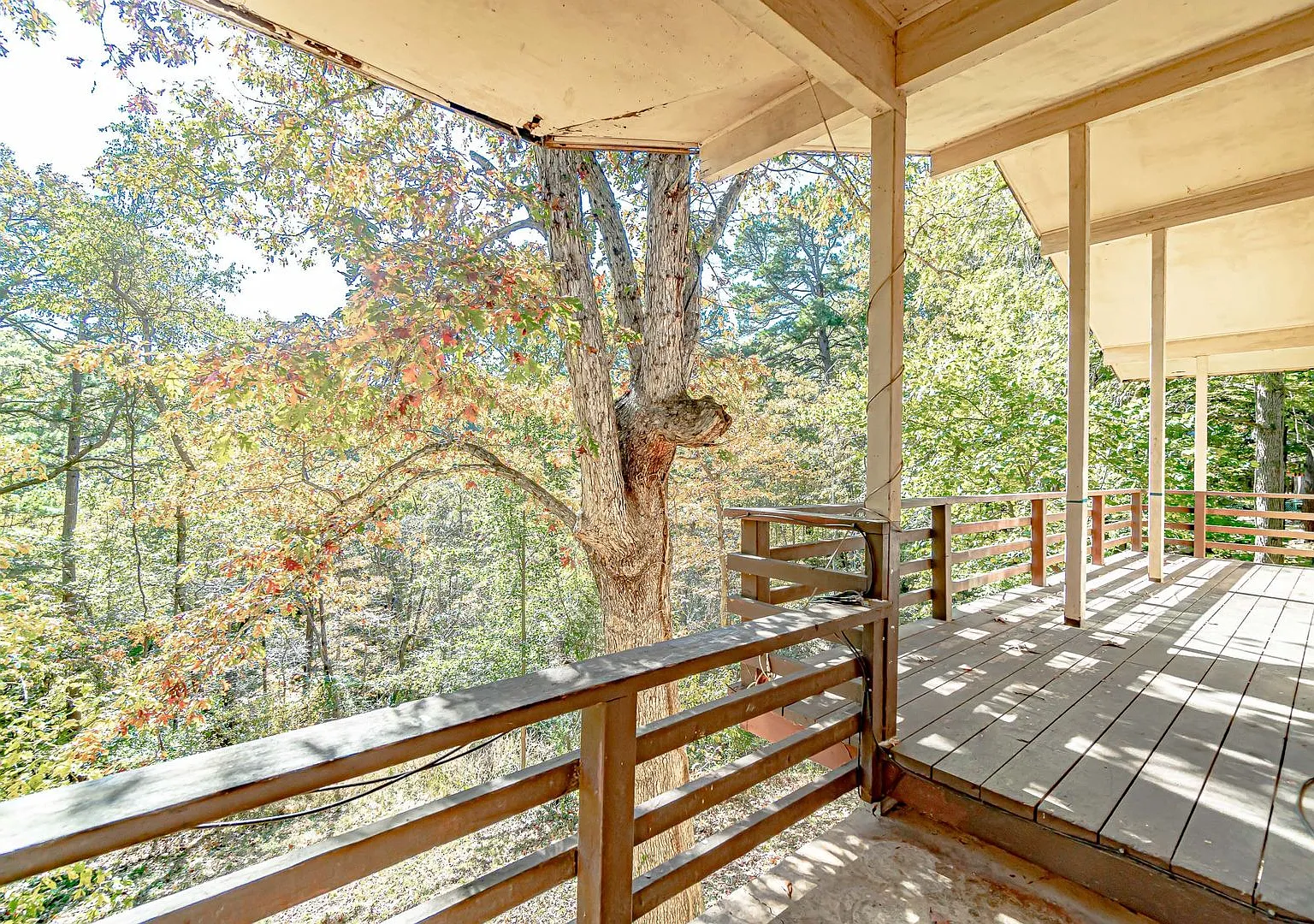 Secluded Bella Vista Property — Photo 2