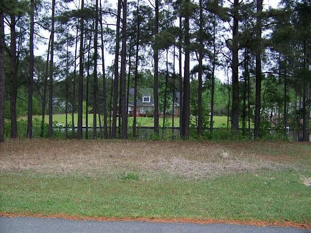 1st image of 352 Bald Cypress Dr