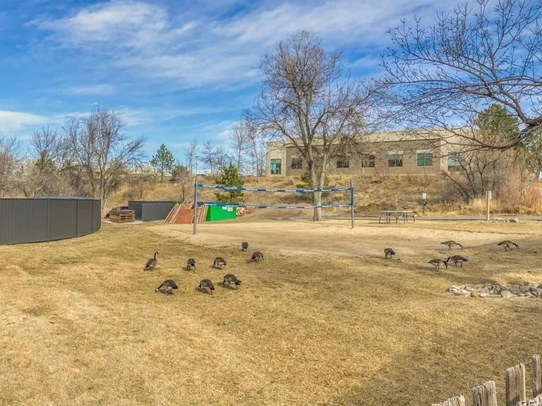 1150 Golden Cir #501 — Photo 22