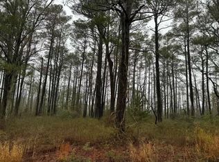 LOT 42 Parkers Landing Rd, Parksley, VA 23421