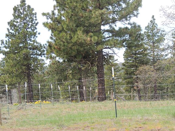 Fenced and cross fenced