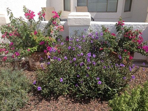 5th image of 4058 S Nicholas Dr