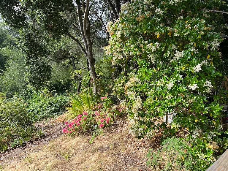 2524 Charlene Ln — Photo 23