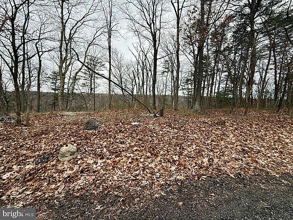 5th image of Oakwood Street Lots #349-351
