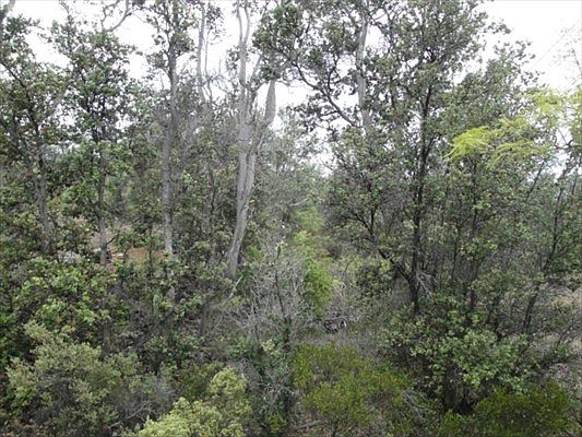 2nd image of Sea Breeze Pkwy Lot 31